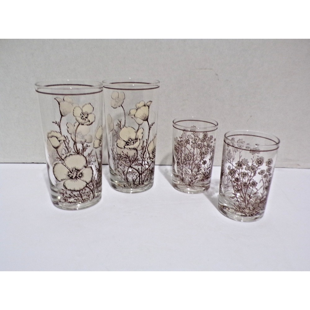 Noritake Vintage "Desert Flowers" #8341 Glasses Mexican Poppy 2 12oz & 2 4oz
